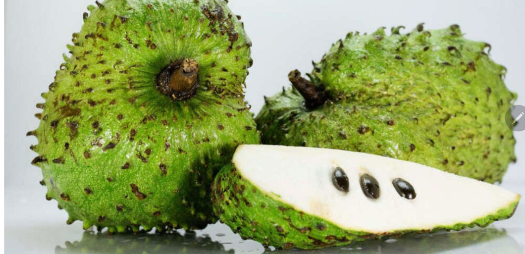16oz SOURSOP SEA MOSS GEL